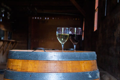 Identifying the Characteristics of Wine
