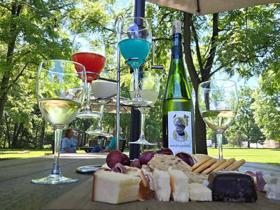 Wine Tasting Room in the Endless Mountains