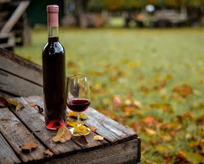 Fall Fun at Grovedale Winery in Wyalusing